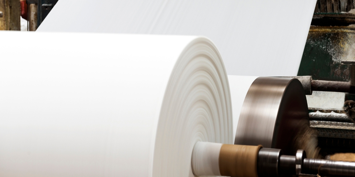 Indústria de Papel e Celulose
